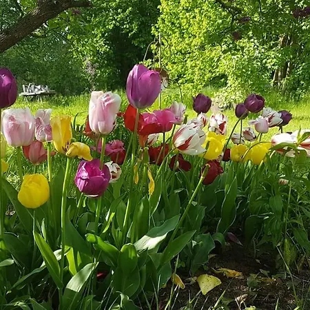 아파트 Lange3 Moderne Kunst Poitendorf