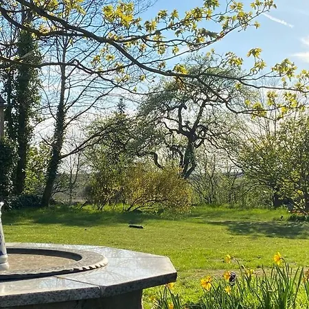 아파트 Lange3 Moderne Kunst Poitendorf