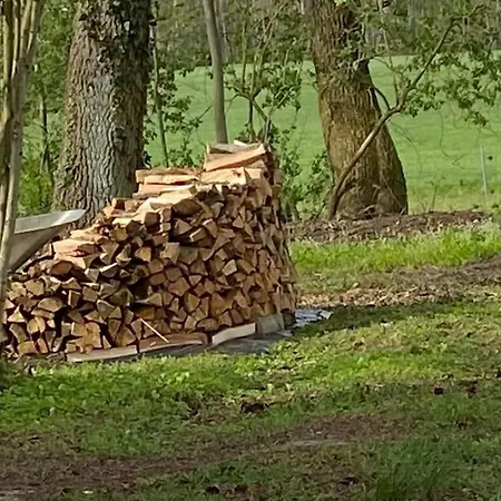 Lange3 Moderne Kunst