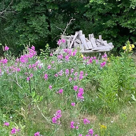 아파트 Lange3 Moderne Kunst *