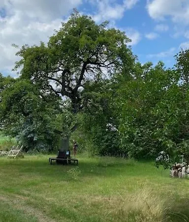 Lange3 Moderne Kunst * Poitendorf