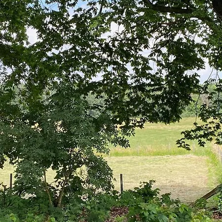 Lange3 Moderne Kunst 아파트 Poitendorf