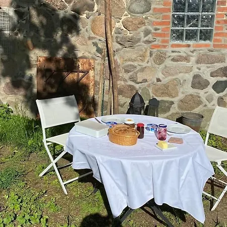 Lange3 Moderne Kunst * Poitendorf
